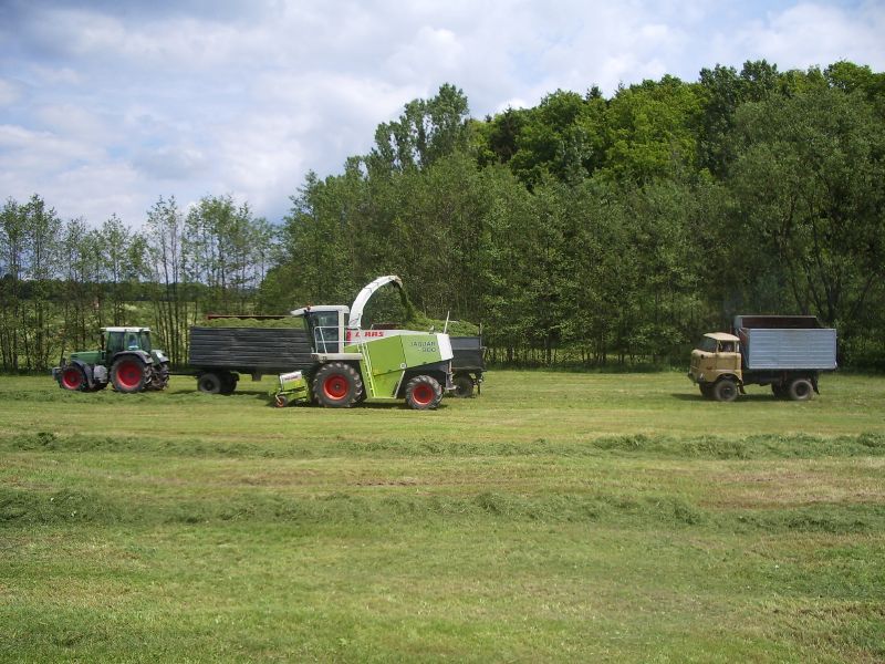 Claas Jaguar 900 mit Fendt 514 03.jpg